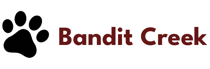 A green background with the word bandit written in red.